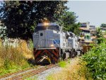 VLI 8431
